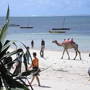 C56YK Гамбия DX Новости C56YK Гамбия DX Новости